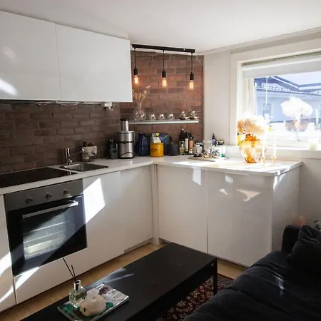 Cozy Studio Apartment Oslo Exterior photo
